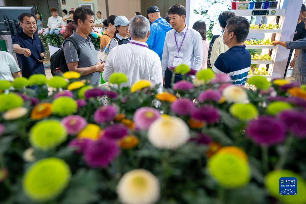 注册送第一桶金